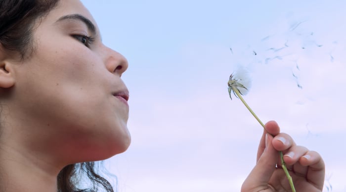 Young woman blowing dandelion 